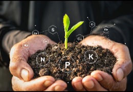 食品原料小百科：植物中能用PQQ嗎？