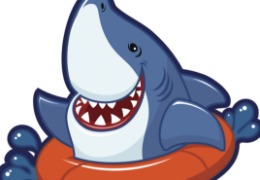 食品原料小百科：硫酸軟骨素可以用在什么地方？