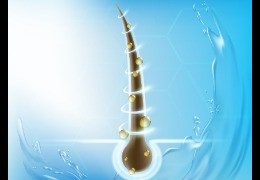 解決當(dāng)代年輕人脫發(fā)煩惱的透明質(zhì)酸鈉(下)