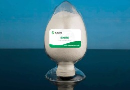 什么是透明質(zhì)酸？