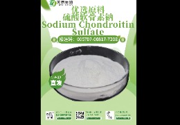 軟骨救星，硫酸軟骨素鈉讓你告別關(guān)節(jié)疼痛！