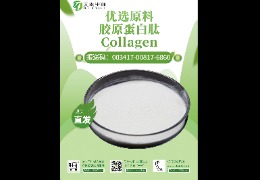 【驚艷一夏】魚膠原蛋白肽，讓你的肌膚不再年輕一代！