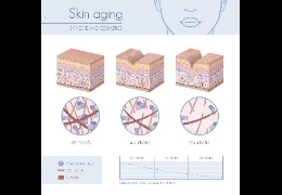 羥丙基三甲基氯化銨：透明質(zhì)酸鉀的功效及用途  乙?；该髻|(zhì)酸鈉
