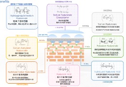 透明質(zhì)酸鈉在化妝品中的復(fù)配應(yīng)用