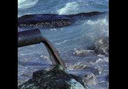 核輻射風(fēng)波，日妝還能用嗎？